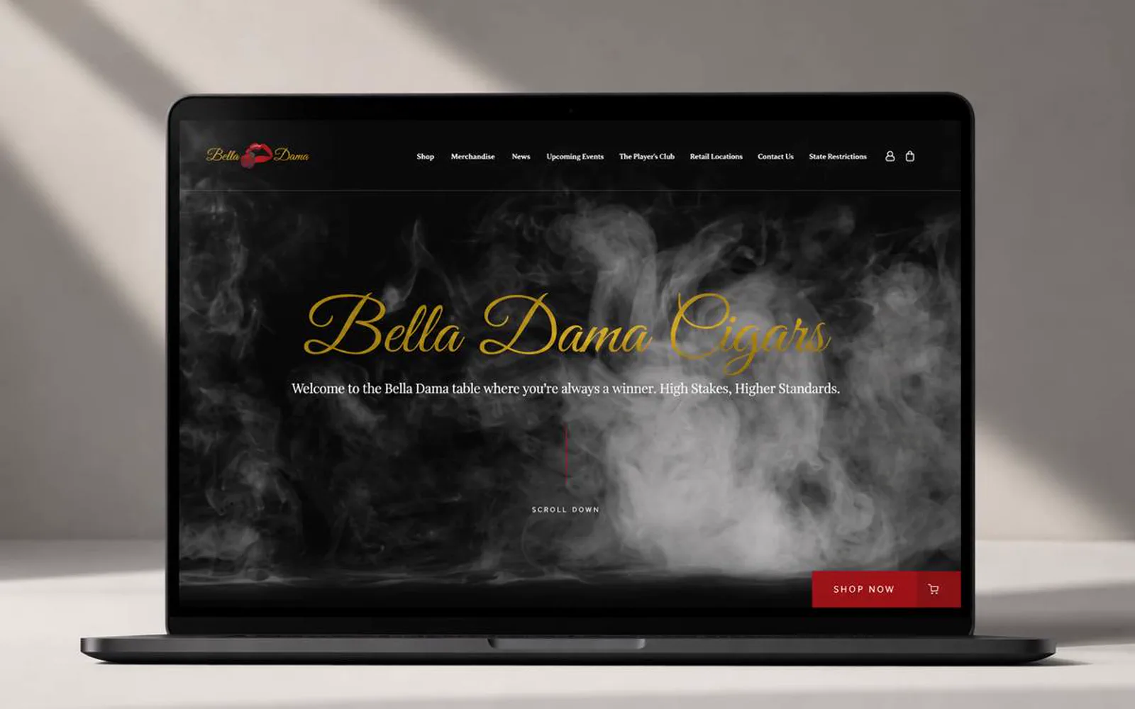 Bella Dama website project