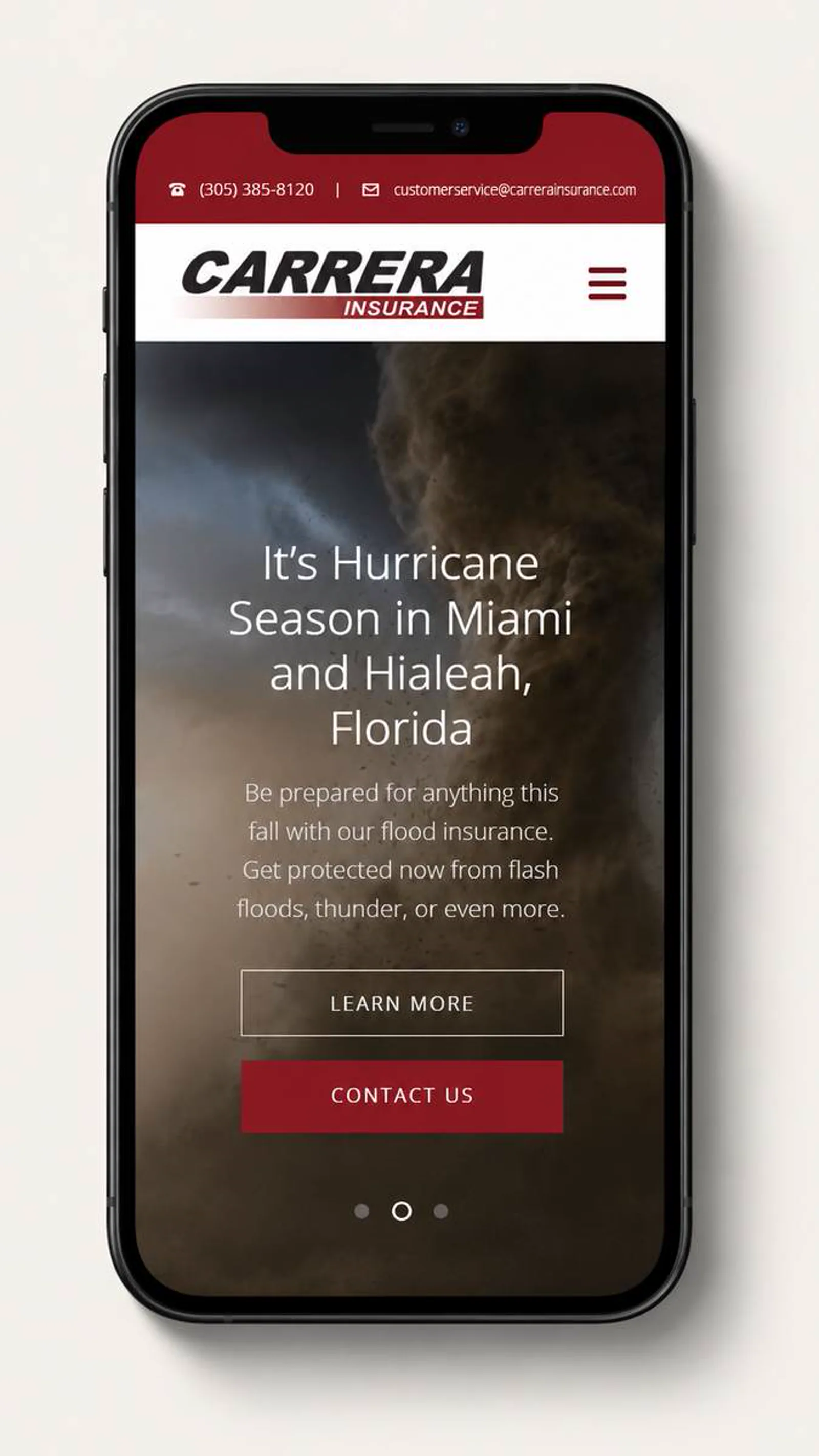 Carrera Insurance project visual 2