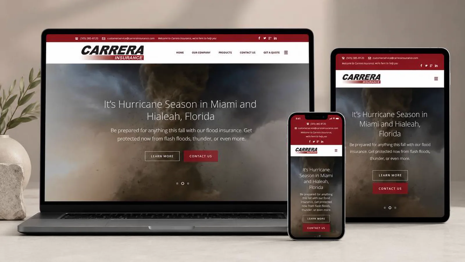 Carrera Insurance project visual 6