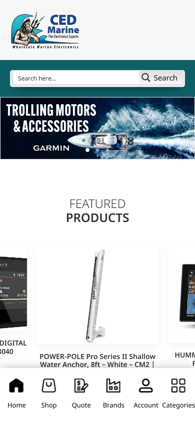 Homepage on a phone