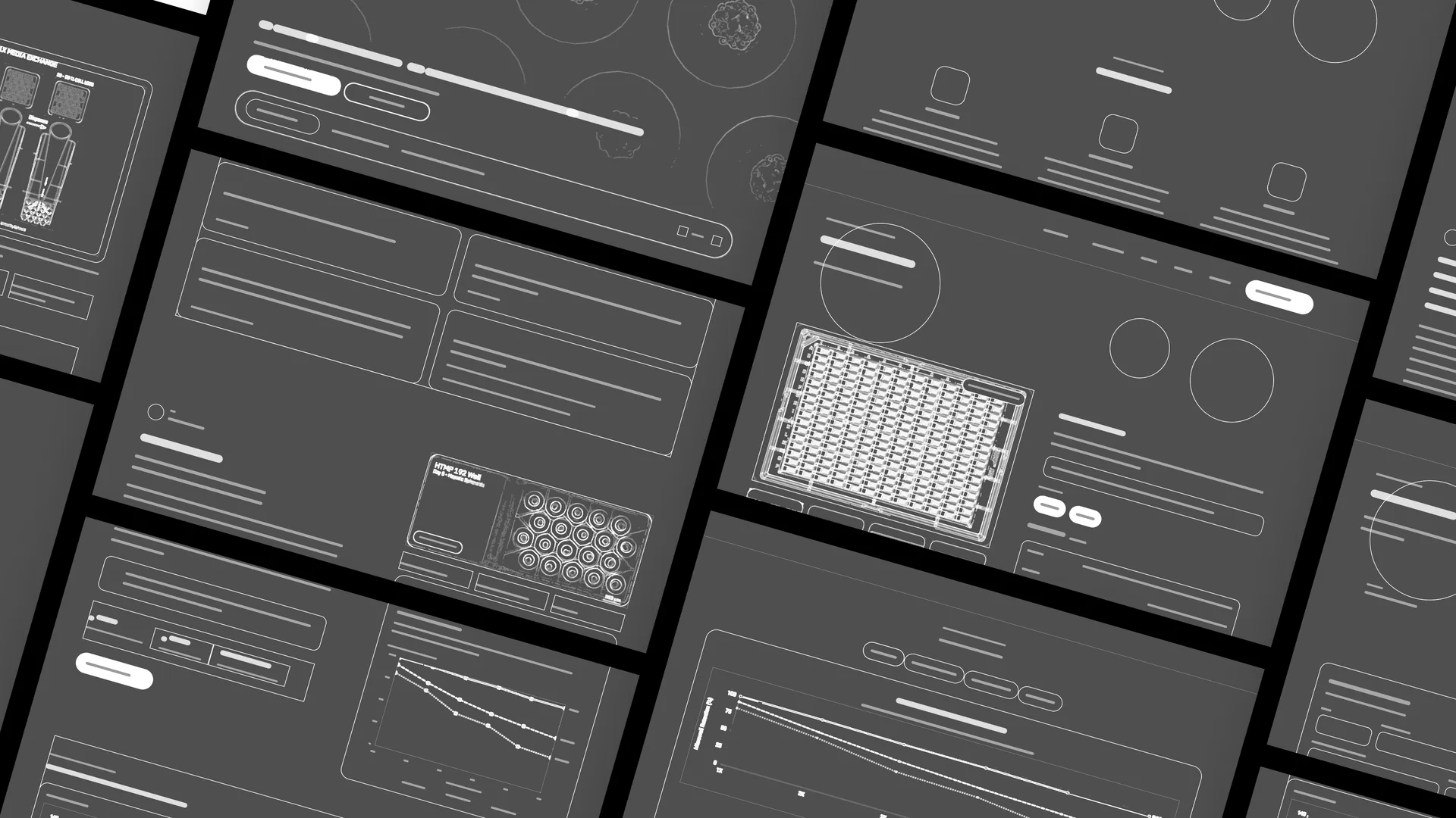 Páginas de HTMP Bio dibujadas como wireframes, dispuestas en ángulo: tarjetas, botones y campos en contorno, barras grises para el texto y dibujos lineales de las fotos y gráficas