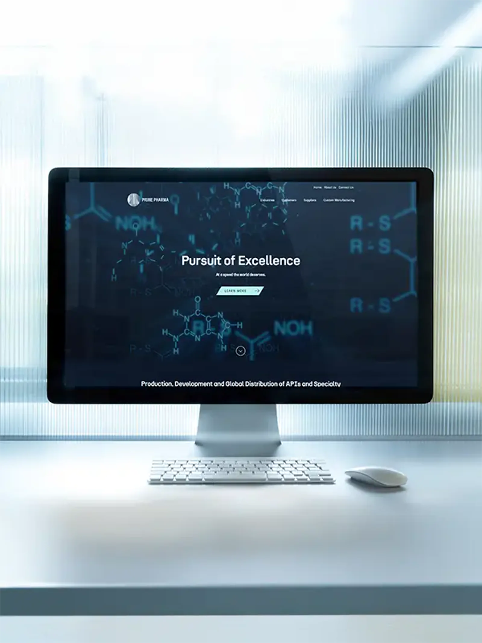 Prime Pharma project visual 3