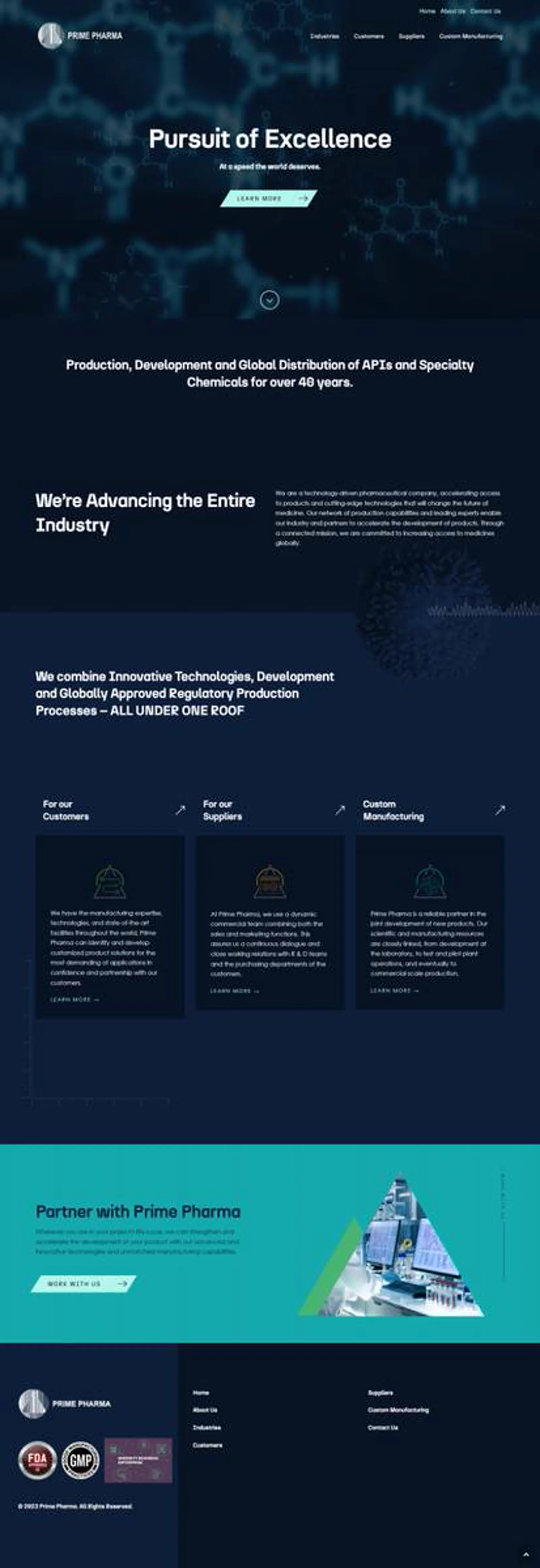 Prime Pharma project visual 4
