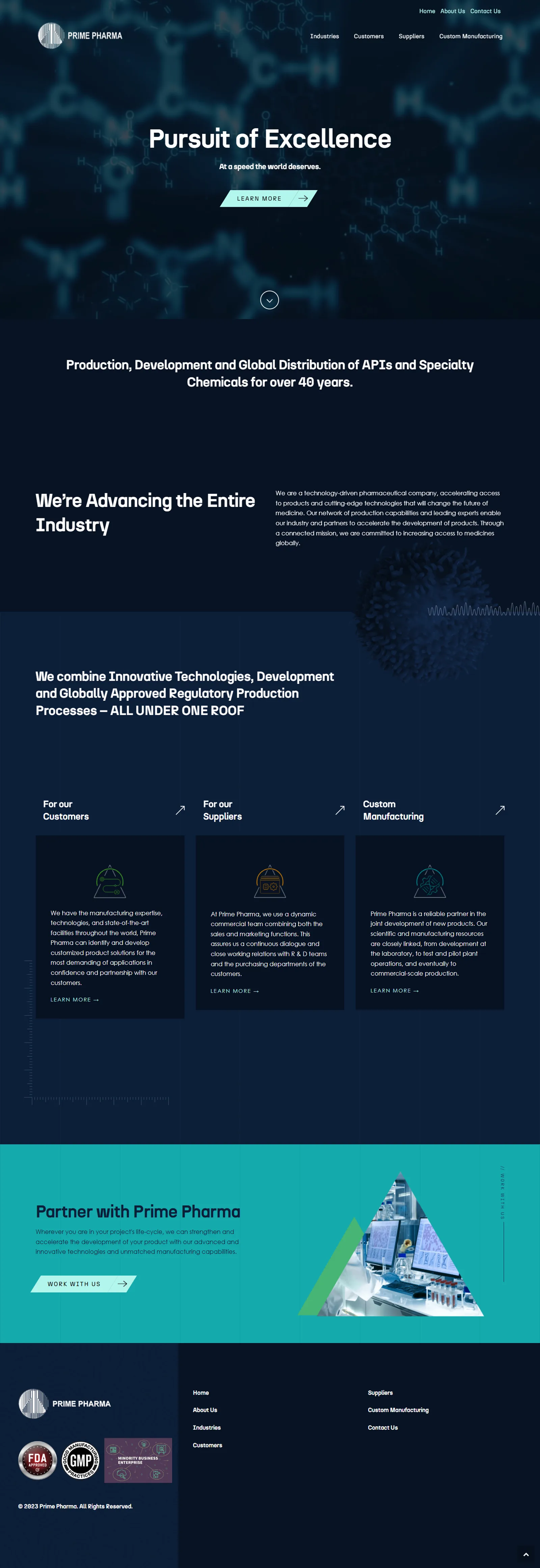 Prime Pharma project visual 5