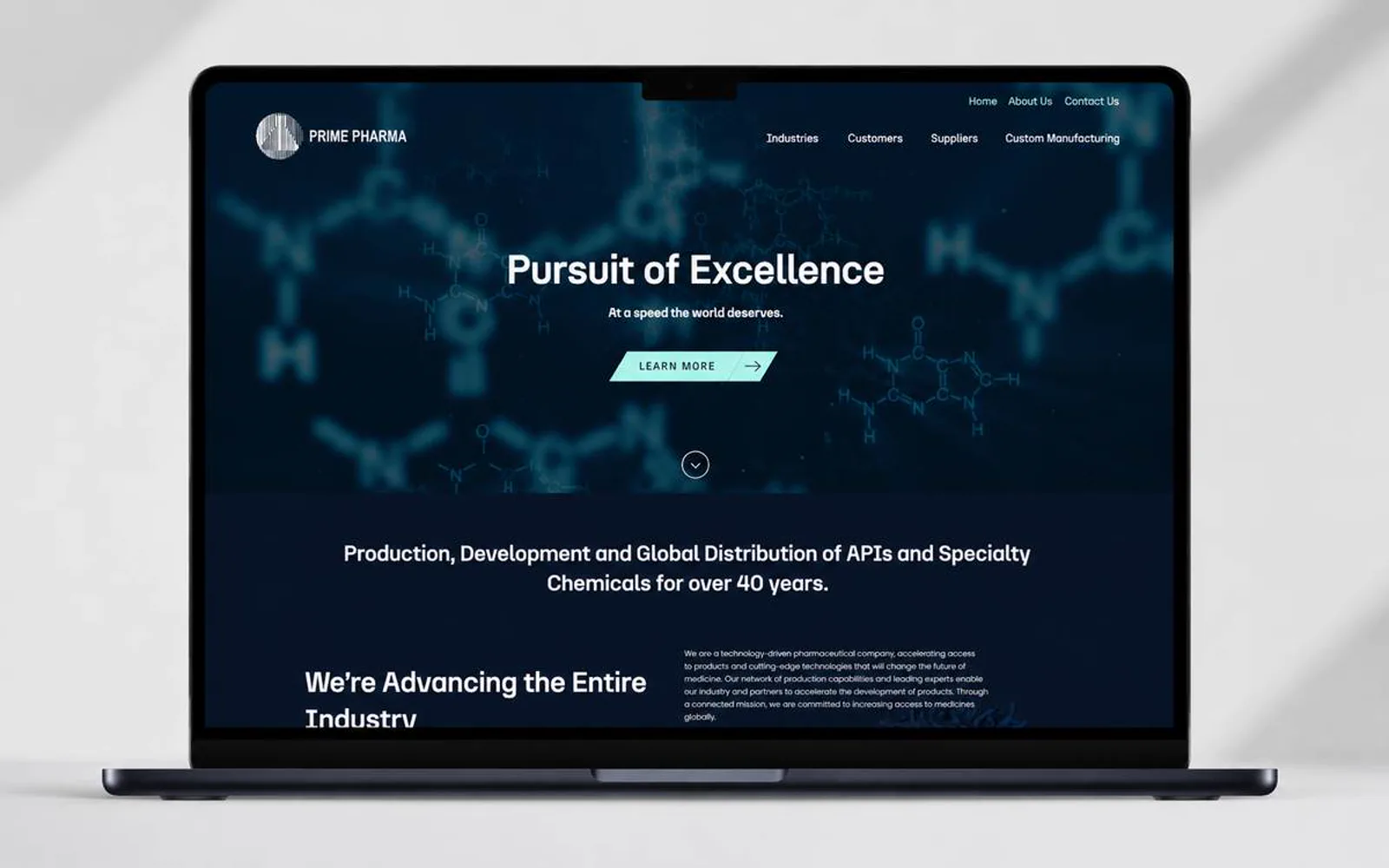 Prime Pharma project visual 6